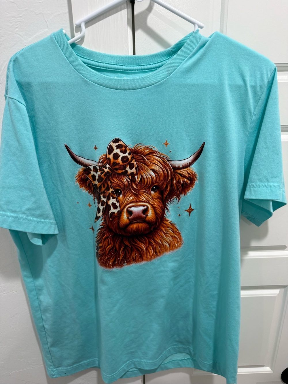 George Aqua Tee with Brown Highland Cow Graphic
